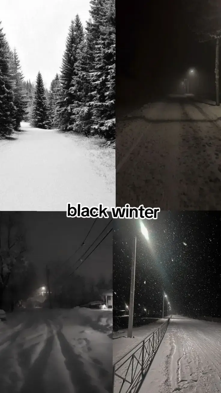 #bluewinter #winter#gönnmirtiktok #4upage 