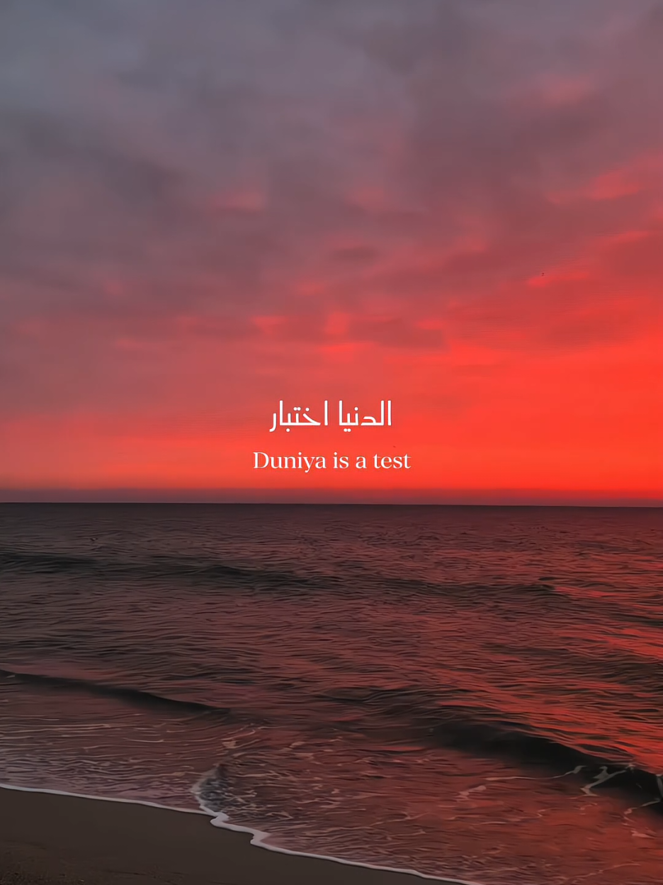 🤍🥀 . . #32335 #fypシ #viral #trending #arabic #quotes 