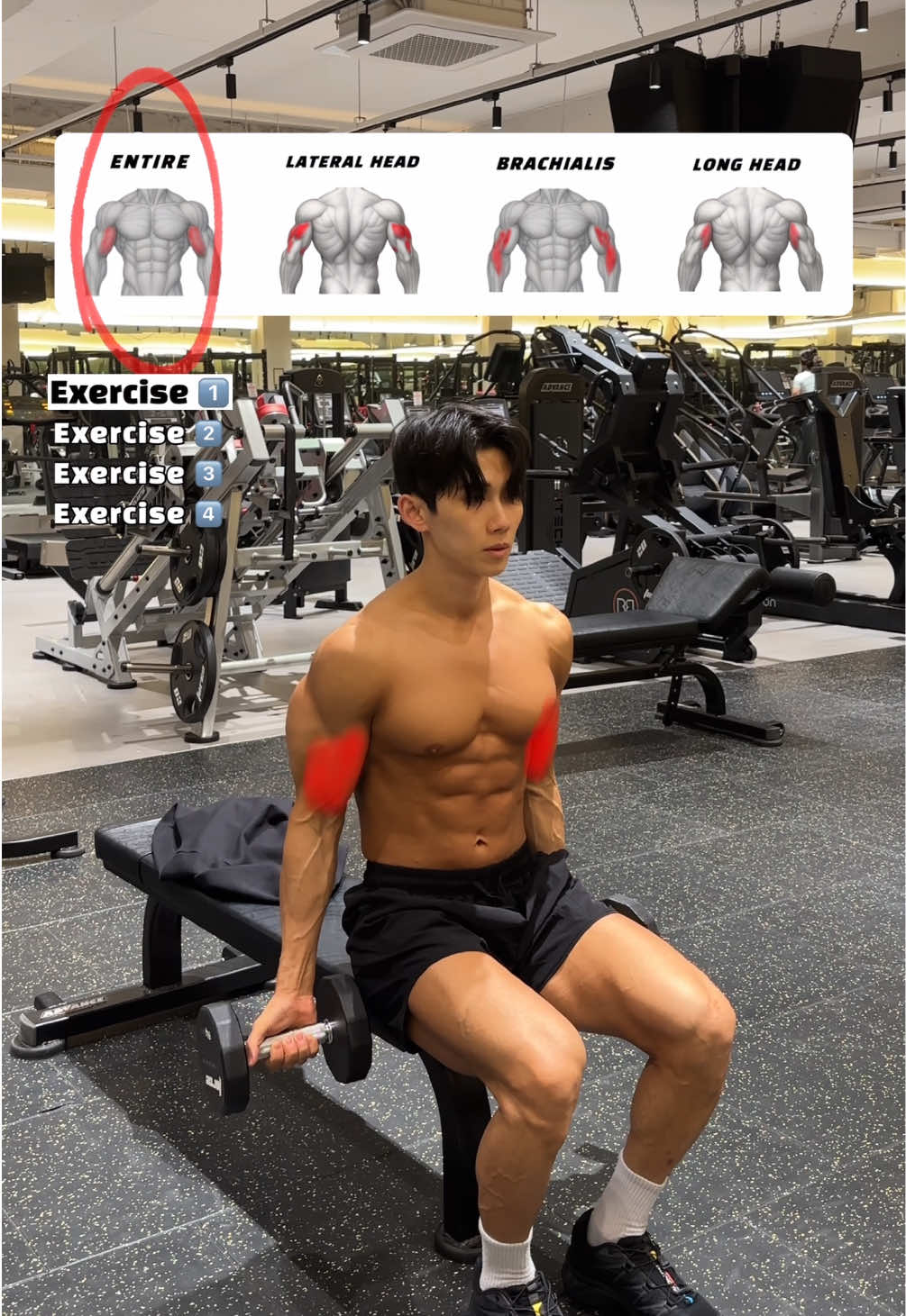 🔽부담 없는 팔 운동(Arms Workout) 4가지🔽 🔸4 Easy Arm Exercises for Low-Energy Days🔥  1. 시티드 덤벨 컬 (Seated Dumbbell Curl) – 앉은 상태에서 팔꿈치를 고정해 이두근 단두(Short Head)와 장두(Long Head)에 균형 있게 자극을 주어 힘을 효율적으로 전달합니다. 2. 벤치 딥스 (Bench Dips) – 체중을 이용해 삼두근 외측두(Lateral Head)와 내측두(Medial Head)를 강하게 수축시켜 팔 뒤 라인을 선명하게 만듭니다. 3. 시티드 해머 컬 (Seated Hammer Curl) – 뉴트럴 그립으로 수행해 주동근으로는 상완근(Brachialis)을 자극되며, 보조근으로는 상완요골근(Brachioradialis)과 이두근 장두(Long Head)를 동시에 자극하여 팔 두께와 전완 힘을 강화합니다. 4. 투 암 오버헤드 트라이셉스 익스텐션 (Two-Arm Overhead Triceps Extension) – 머리 위에서 수행해 삼두근 장두(Long Head)를 깊게 늘리고 수축시켜 팔 전체 밸런스를 맞춥니다.   📌3세트, 12~15회 📌휴식 30~45초 #arms #armday #armworkout #팔운동 #이두운동 #삼두운동 #헬린이  