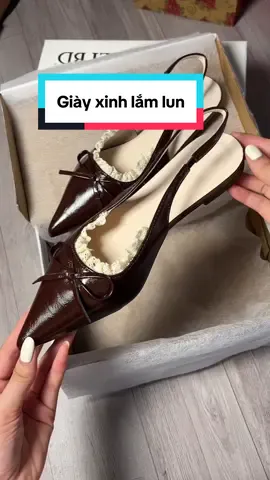 Giày bệt mũi nhọn phối ren siu xinhh #giaybet #giaymuinhon #giayhottrend #xuhuong 