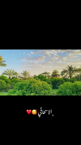 #الاسحاقي_بلد_سامراء_تكريت_الشرقاط_العلم #متابعه_ولايك_واكسبلور_احبكم #الشعب_الصيني_ماله_حل😂😂 