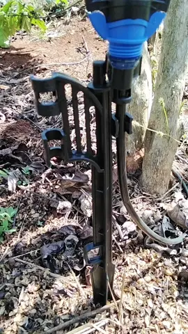 #thùng 500 cây cắm béc 