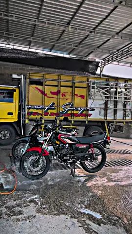 Ready diinpo moakk. #rxkingindonesia #rxking #rxkingbibirmerah #bibirmerah #rxkingcobra #fypシ゚ 