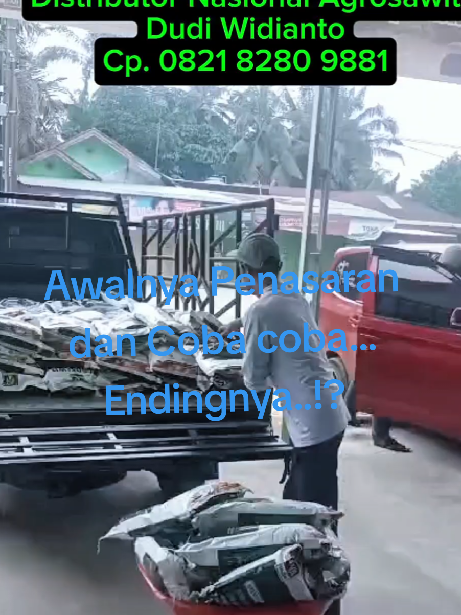 Awalnya penasaran dan coba coba...Endingnya Tersenyum bahagia 🫠😍🌴🌴🌴 Lanjut Borong NPK Agrosawit deh...😍🫠 #petanisawitindonesia🇮🇩 #pupukviral #pupukagrosawit #npkagrosawit #distributoragrosawit 