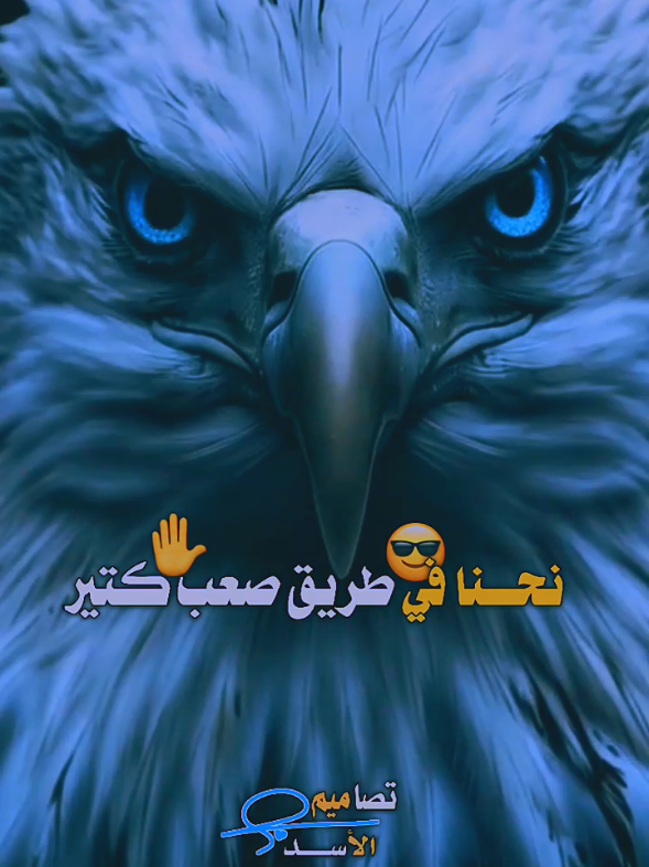 #مرادعلمدار_وادي_الذئاب_ميماتي_باااش🔥😎 #xplore_xploretik_tok💜top🗣️ 