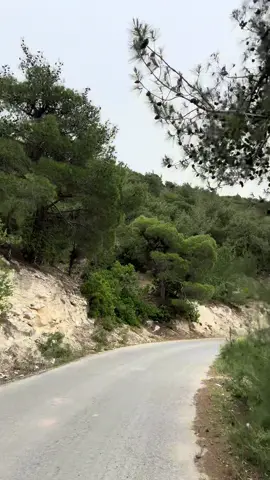 جولة بالسيارة في جبل حج حسنلي  🌿🌞❤️ #عفرين_قامشلي_كوباني_درباسيه_ديريك #عفرين_راجو_بلبل_شيه_جنديرس_معبطلي #اعراس_عفرين #عفرين_راجو_بلبل_شيه_جنديرس💚❤️💛 #عفريني #عفرين_كوبانيه_روج_أڤا_ #afrin❤️ #afrin❤️ #الشعب_الصيني_ماله_حل😂😂 #قرية #جنديرس_عفرين_كوردي_سوريااااااااعفرين💔 #جنديرس #afrin #afrin❤️ #اكسبلور 
