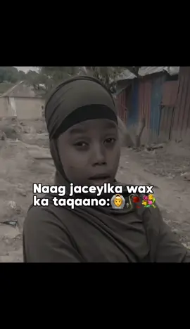 Qoftaan camal 😂🙆