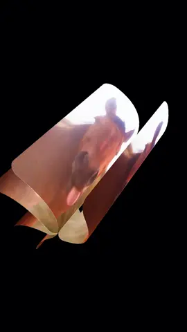 #CapCut 