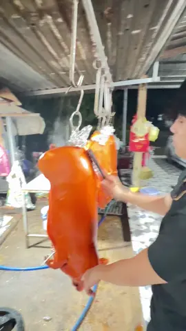 Chuẩn bị ngày thu 8 nhen a e.6 con heo cúng.cảm ơn a e ủng hộ nhe