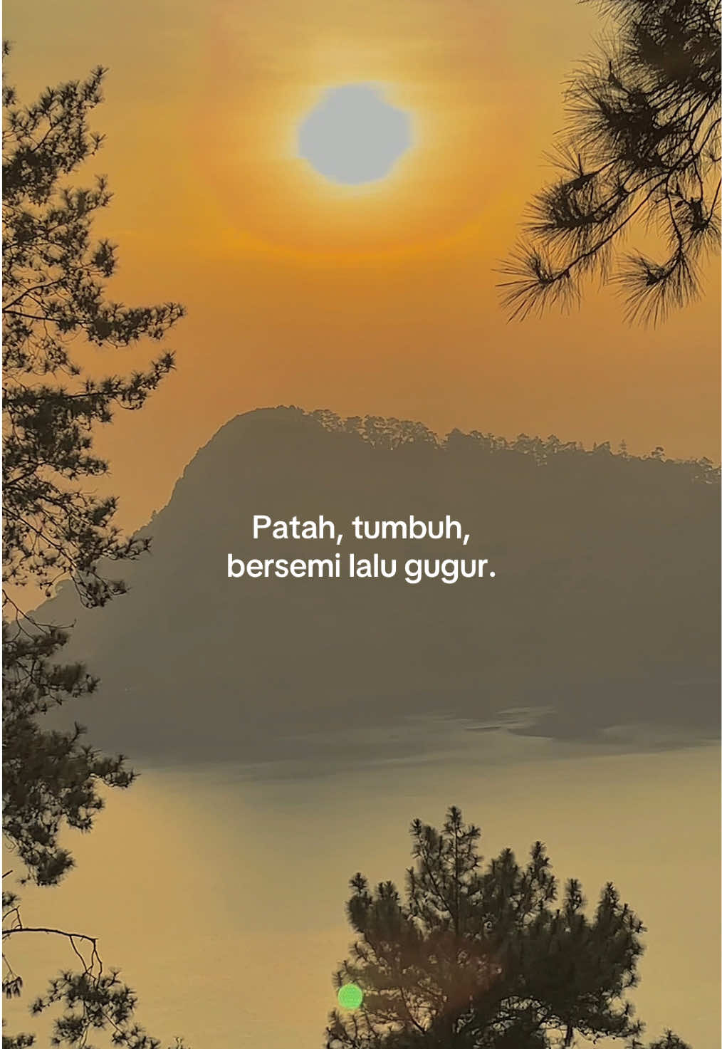 Selalu saja begitu.
