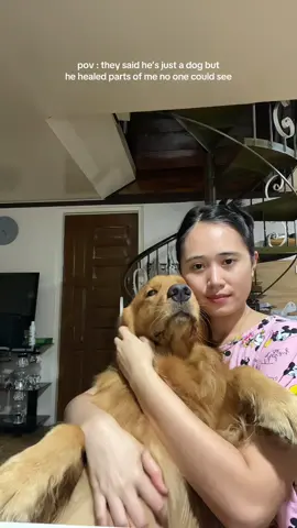 #goldenretriever #goldenretrieverlife #goldenretrieversoftiktok #dog #dogsoftiktok #pet #PetsOfTikTok #fyp #foryou 