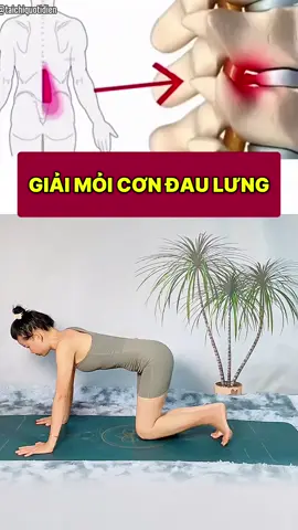 đau lưng tập nha cả nhà #sasayoga #yoga #yogachonguoimoibatdau 