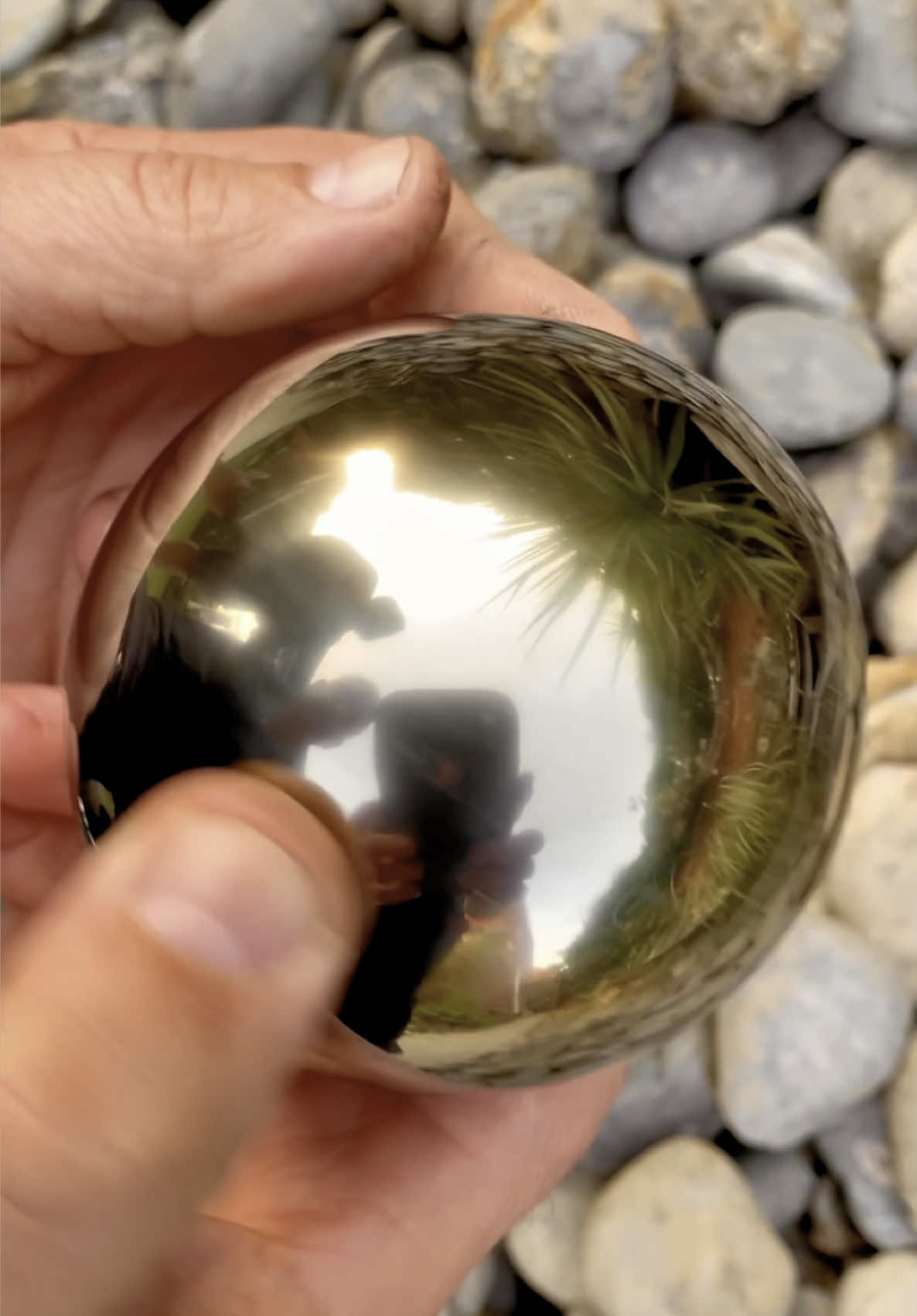 We found some golden pyritic rocks on the beach whilst searching for crystals and fossils 🏝🌊 The loose slab of soft shale had been part of a landslide perfect for containing Jurassic fossils. They are roughly 180 million years old! 🏝 Thanks for supporting our page! 🐊 #natural #nature #fossil #fossils #ancient #animals #art #ammonite #ammonites #dinosaur #scientist  #minerals #paleontology #whitby #geologist #dorset #geology #charmouth #jurassic #yorkshire #beach #coast #sea #water #squid #fyp