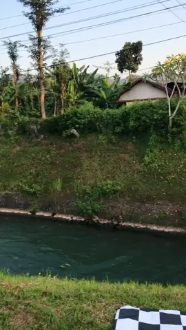 panggah ready bolo#fyppppppppppppppppppppppp #damwidorogandusari #beat 