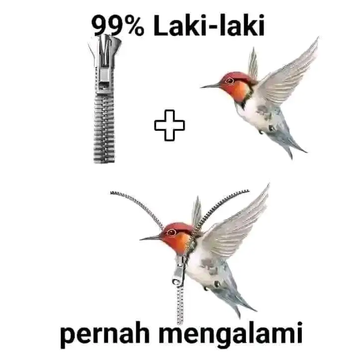 #dirumahaja #fypppp 