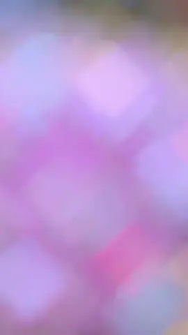 #حلويات جزائرية تقليدية #حلويات_طلبية #صابلي_بريستيج #حلويات معاصرة