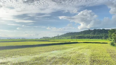 💚🍃#နမ့်လန် #capcut 