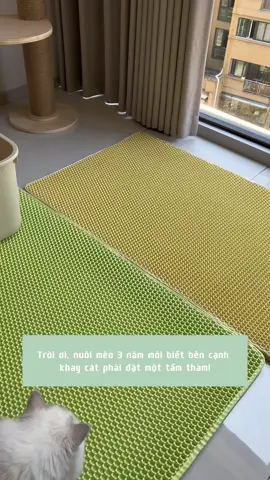 Hứng cát 2 lớp thiết kế tổ ong tiện ích cho nhà bạn luôn sạch sẽ . #meo #meow #yeumeo #vitaminmeo #thamhungcatmeo 