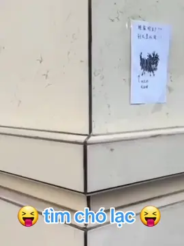 🤭🤭🤭 mong các bạn giúp đỡ🤭🤭🤭 #thinhhanh #xuhuong #vuinhon #vuicungtiktok❤️❤️ #vuivemoingay❤️ #vui #vuive #vuinhonhaihuoc #vuivekhongquao #vuicungtiktok #funny #videohai #xuhuongvuinhon #xuhuongtiktok #xuhuong2025 #cuoibebung #tiktok #tiktokshop #tiktokindia #Hồ 
