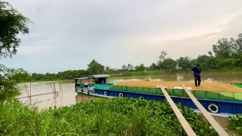 2 tiếng đổ 80tấn 😜#xuhuongtiktok 