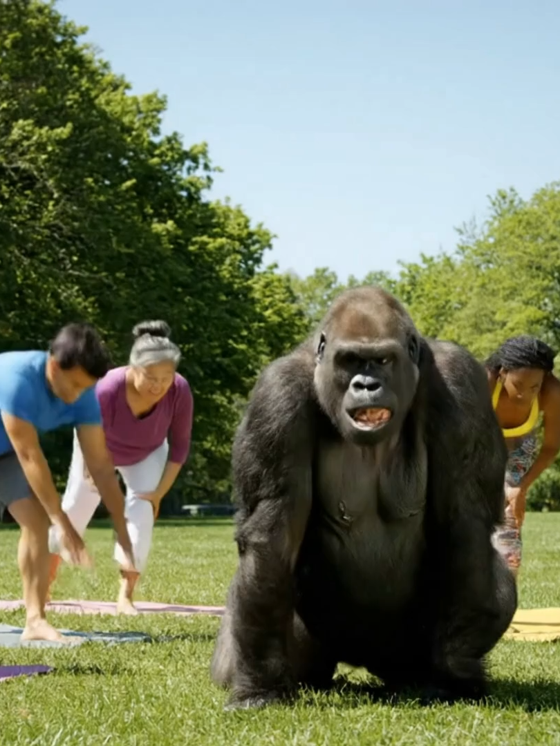 A_gorilla_confusedly_follows_a_human_yoga_class,_failing_every_pose🦍🤣 #FYP #ForYou #AI #Trending #Gorilla #Vlogger #LOL #FunnyTikTok