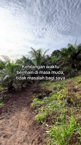 #sawitontiktok #storysawit #petanisawit #petanimuda #kulisawit #fyp 