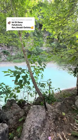 Replying to @Imellll23 Kolam Bileno, kabupaten Kupang. #Kolambileno #bileno #amarasi #pantaioetune #oetune #gurunpasirntt #padangpasirntt #gurunpasir #wisatantt #wisatakotakupang #wisataindonesia #baumata #kolamkecewa #guamariam #airlobang #oelon #oebonik #mataair #wisataair #wisatakupang #wisatanusatenggaratimur #ntt #kotakupang #kupanghits #viralkupang #tablolong #lasiana #pariwisataindonesia #pariwisatantt #wisatatts #wisatasoe #kolbano #oetune #nualunat #pantainualunat #soe #tts #wisatatts #wisatapasir