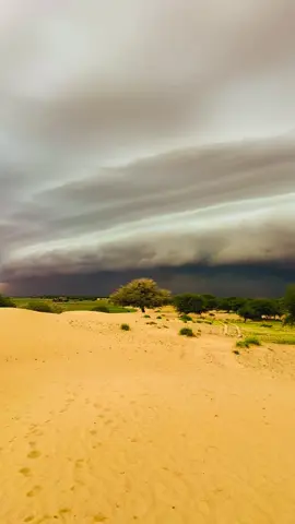 @🦅جوكر 🃏التارقي444 🇱🇾  ✌️❤️