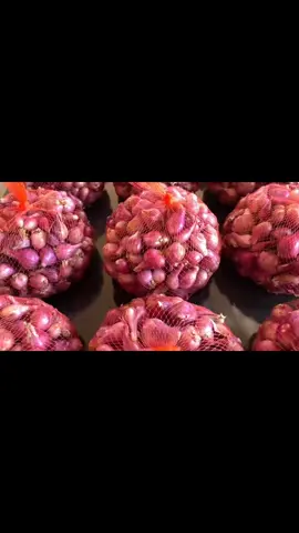 #BppkostrataniBluto  #PPLPUSAT  #DkppKabSumenep