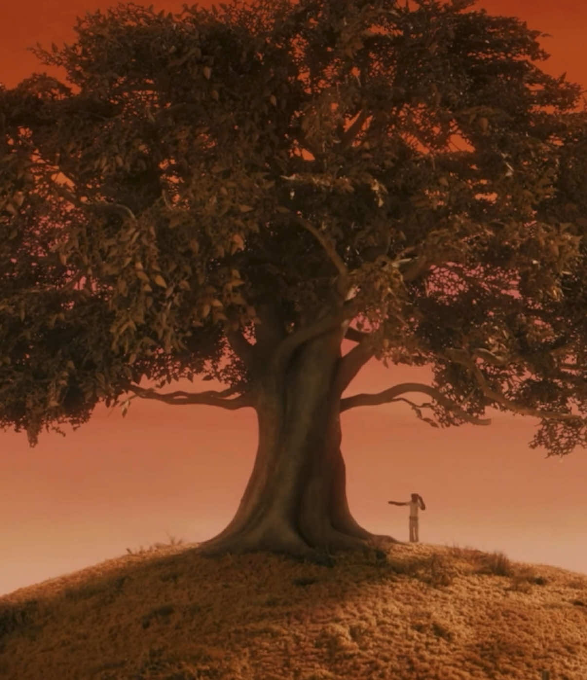 the movies that i finished at the same day #mrfantasticfox #mrfantasticfoxedit #isleofdogs #isleofdogsedit #thestrokes #callitfatecallitkarma #movie #letterboxd #moviequotes #imnotdifferentami #imnotaviolentdogidontknowwhyibite #foryoupage #foryou #fyp #fy 