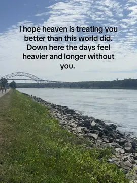 Some moments still stop me in my tracks #parentloss #grief #griefjourney #parentlossawareness #lossofparent #healing #loss #grieftok #griefquotes #parentloss💔 #griefsupport #imissmom #grievingmom #heaven 