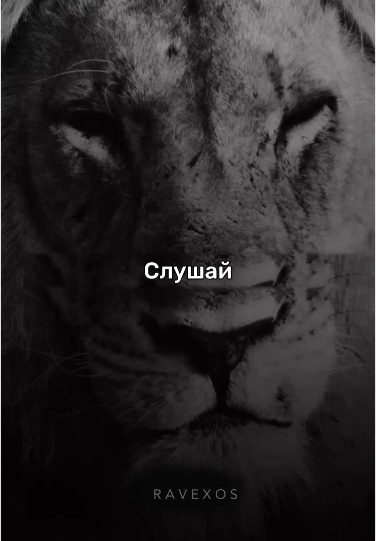 Слушай внимателно… #SelfImprovement #quotes #motivation #mindsetmotivation #mindset 