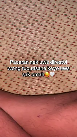 @neppaasukaferdii bahagia selalu🤍#fyp #xcyzba #yxzcba #promomakanmerdeka #fouryou 