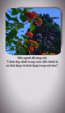 Câu nói kỳ diệu nhất trên đời là: mọi thứ rồi sẽ qua. Sẽ có những lúc bạn cảm thấy cuộc sống thật tồi tệ, bị choáng ngợp và không biết làm thế nào để thoát ra. Hay khi đứng giữa một mối quan hệ sắp bị tan vỡ, dễ dàng dẫn đến chia ly. Có thể là bạn đang trải qua giai đoạn thất nghiệp, không biết sẽ làm gì tiếp theo. Hoặc khi đối diện với một món nợ khổng lồ mà chẳng biết bao giờ mới trả hết được nợ,... Suy cho cùng tất thảy những thứ đang xảy ra với bạn, dù thành công hay thất bại, dù là vui hay buồn , rồi một ngày nào đó mọi thứ sẽ hóa dĩ vãng. Nhẹ nhàng với đời, đối mặt trước bão giông một cách bình tĩnh, qua đó sẽ duy trì được sự bình yên trong nội tâm. Một người đã từng nói: “Cảnh đẹp nhất trong cuộc đời chính là sự tĩnh lặng và bình lặng trong nội tâm”. Nếu cuộc đời lừa dối bạn, đừng buồn, đừng nóng vội, bạn cần bình tĩnh để đối diện với nó, hãy tin vào những điều đang diễn ra trước mắt mình, một ngày nào đó hạnh phúc sẽ đến tìm bạn. - Sưu tầm -