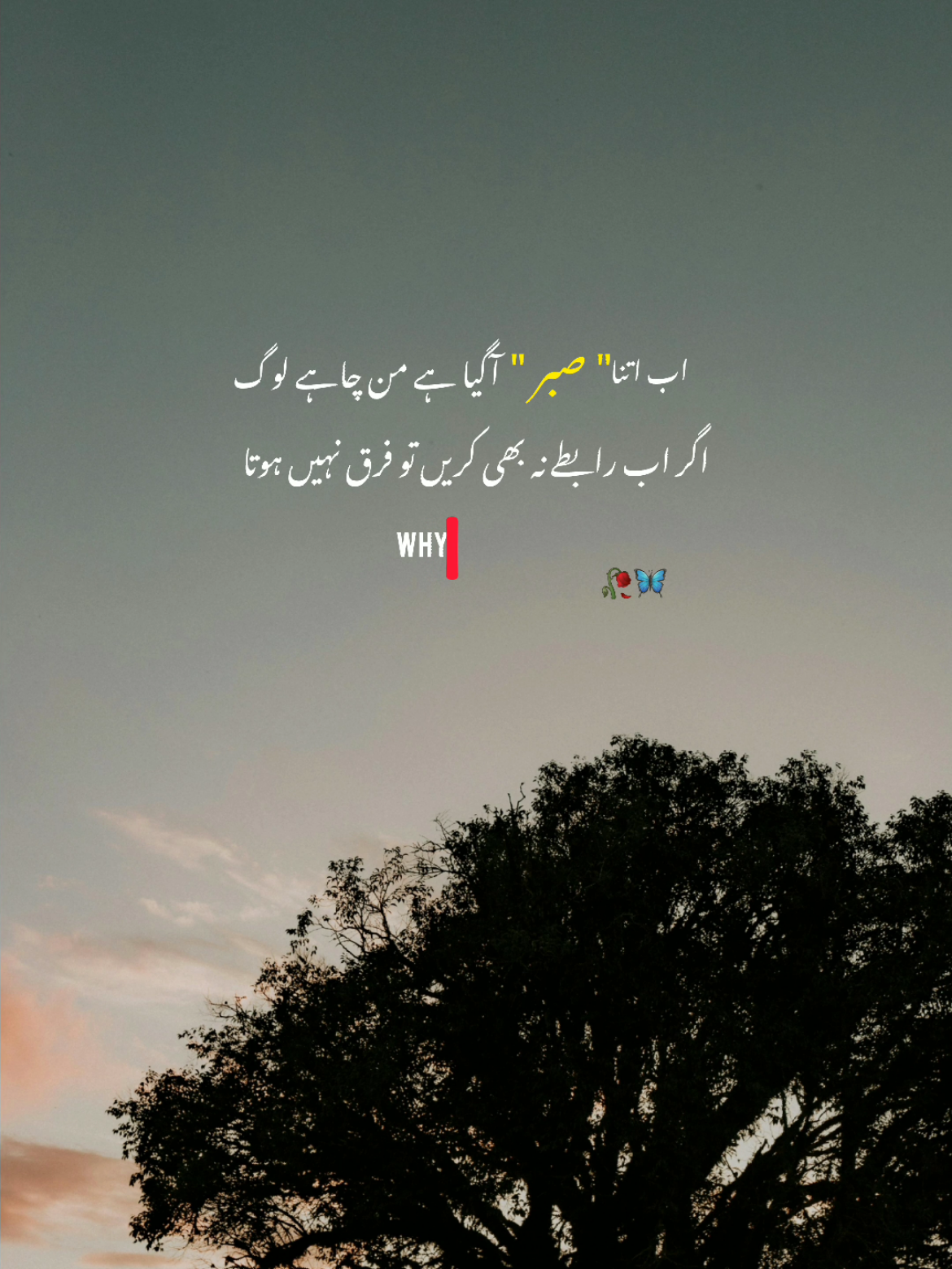 💙🤔🥀🦋🌎#viralvideos #tik_tok #viralvideos #foryoupage❤️❤️ #fyp #urdupoetry #foryouu #urdupoetry #grow #treanding 