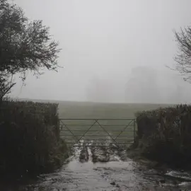rainy days #countryside #gloomy #rain #storm 