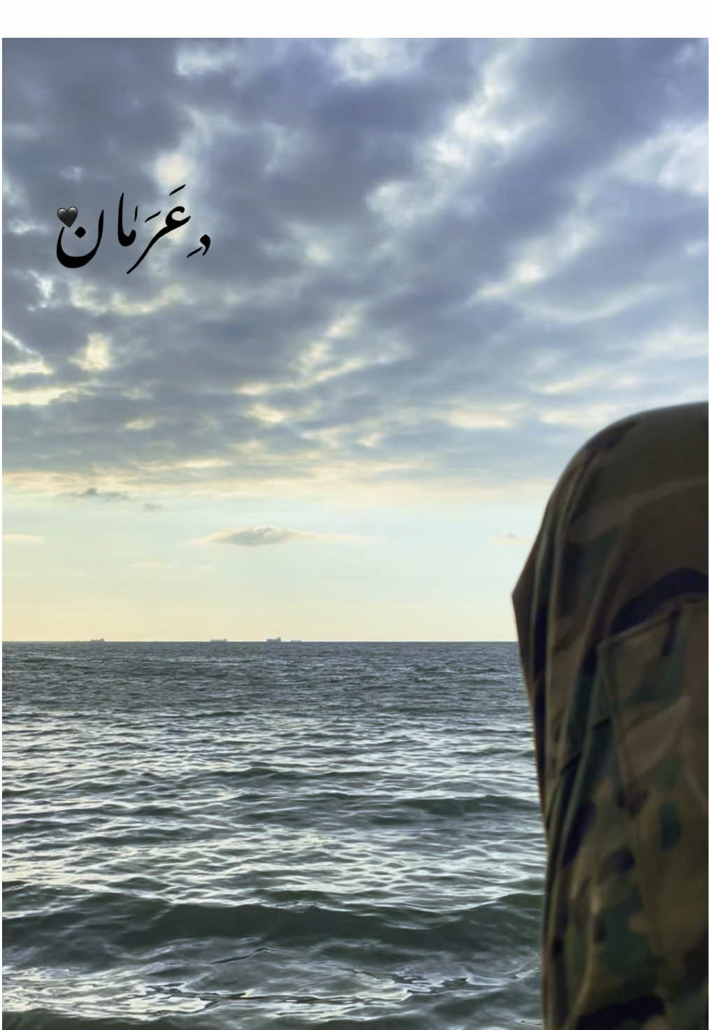 #عرمان #🖤  #lebanese_army  #tiktok #viral  #fyp #foryou #foryoupage #like #comment #follow #explore #capcut 