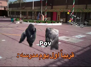 #مدرسه #مضاربه #ضحك😂 #explore #رياكشن 