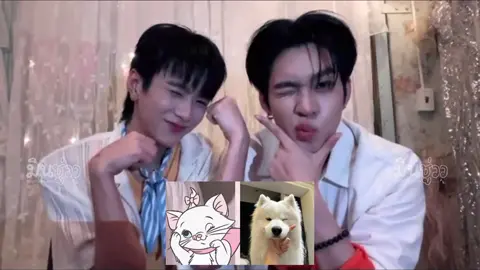 ม๋าทิชชู่กับแมวคุณหนู #MaMixAuAuSave  #AuauSave #อู่อู๋เซฟ #auautnp #savewrg @auautnp @savewrg 