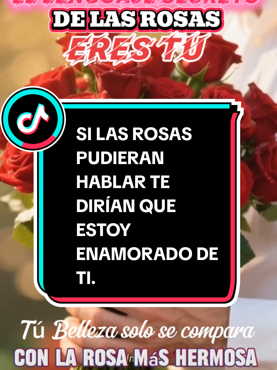 Si las rosas pudieran hablar, te dirían que estoy enamorado de ti 💖. #poema #palabrasdeamor #teamo #verdaderoamor #rosas #mensajedeamor 