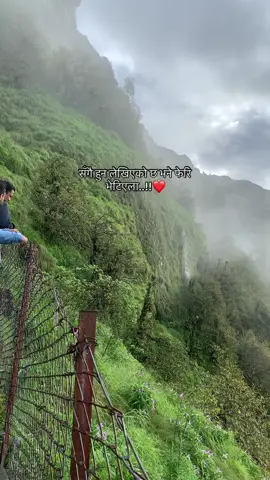 #creatorsearchinsights 