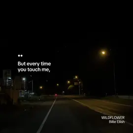 I CROSSED THE LINEEE #wildflower #billieeilish 