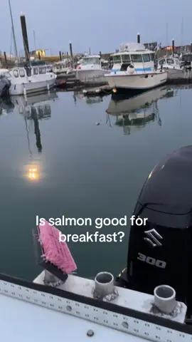 #seal Salmon for breakfast?