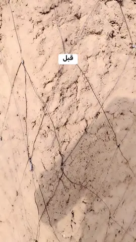 #شغل أحمد الحسن لسريقة أو( الطوف ) الجالوص شغل هندسه #شير، لايك، متابعه، تعليق يأتيك الجديد. هذا الفيديو قبل البياض  وبعد البياض اعرفه شنو كان تقدر. #شتت كل الحبايب مشاهير التيك توك جخو الشقعل ، ده يا، عالم  لكم كل الحب. 