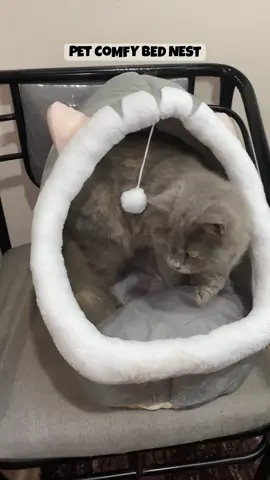 My cats are comfy with this comfy bed nest. 😻  #catbed #petbed #petnest #petcomfybed #cat #dog #furyou 