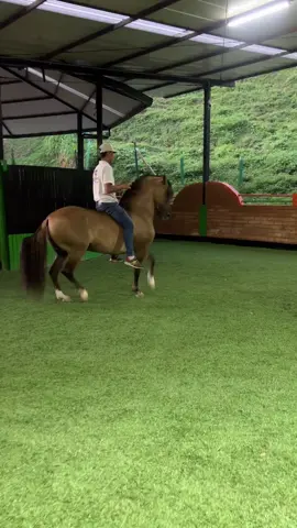 @elandariego.oficial 