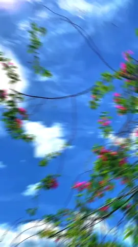 Background video 🥰 #backgroundvideo #foryoupage #foryou #statusvideo #viral 