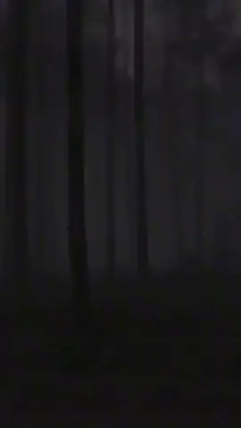 maaf ya jika semua itu masih kurang, tapi aku sudah berusah memberikan yg terbaik untukmu 🙏🥹@Amanda aliyani 