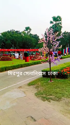 #capcut🥰🥰🥰🥰🥰🥰🥀🥀🥀🥀 মিরপুর সেনানিবাস  ঢাকা 