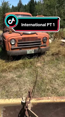 Will it run? This old International hasn’t run in decades but we are going to get it running and driving again. If you have any ideas for the truck let us know. #international #willitrun #truck 